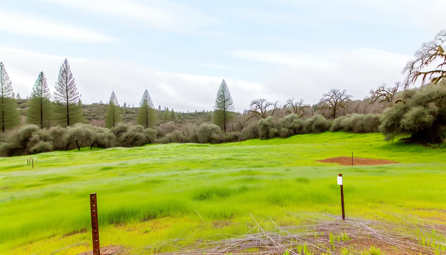 Vacant land parcel for sale in Calaveras County, California