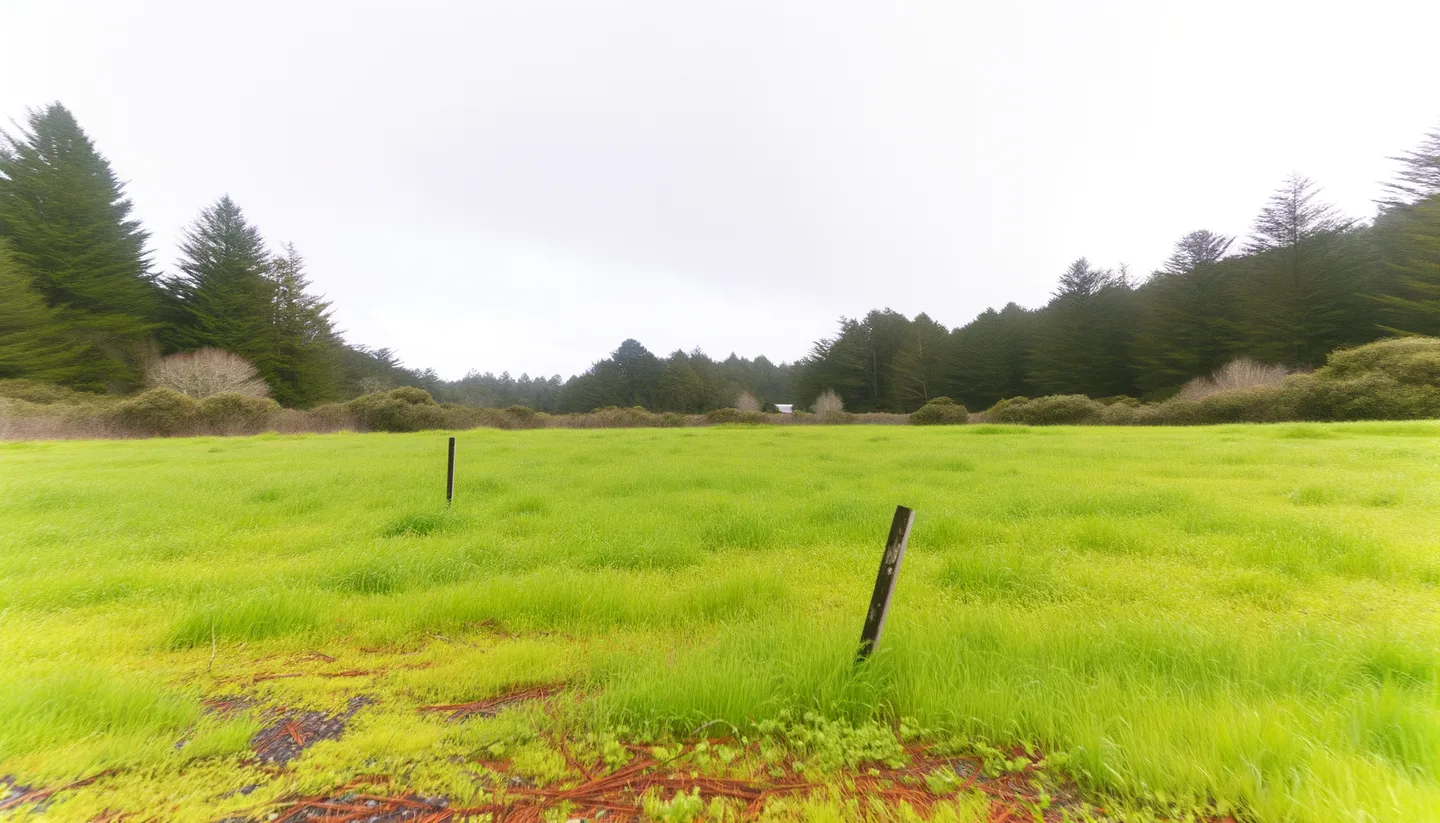 Vacant land parcel for sale in Humboldt County, California