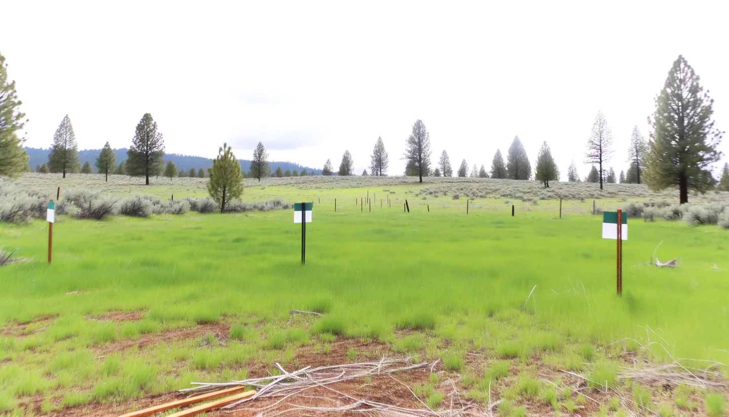 Vacant land parcel for sale in Siskiyou County, California